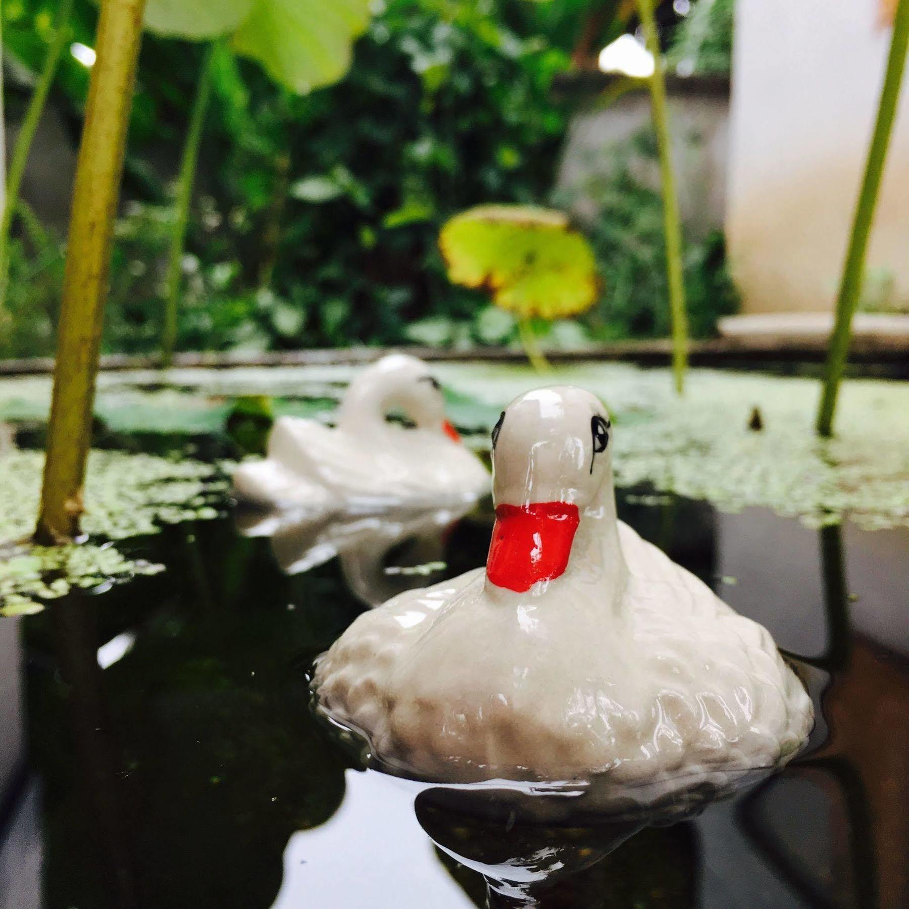 Ming Guesthouse Paj Kültér fotó