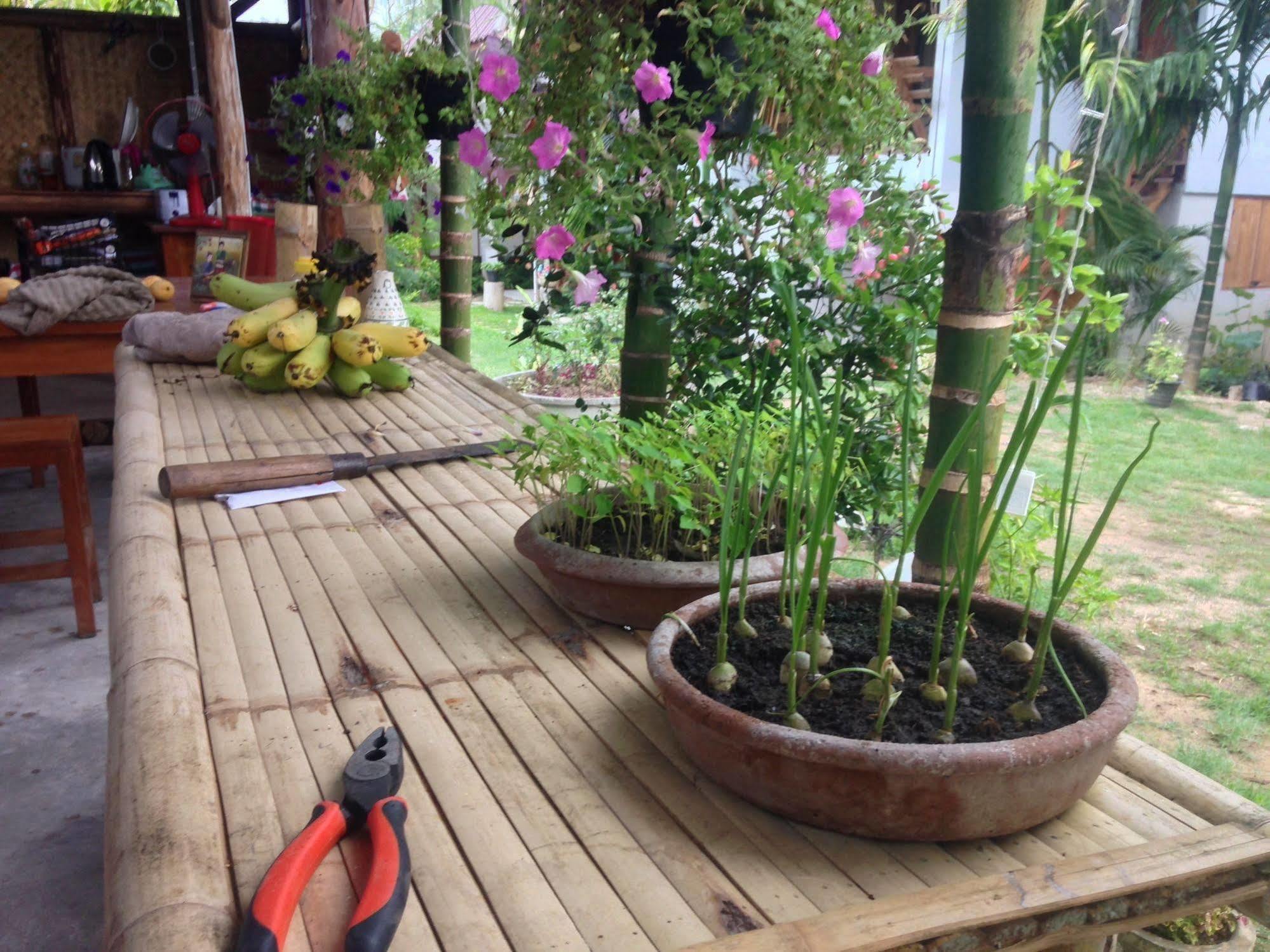 Ming Guesthouse Paj Kültér fotó
